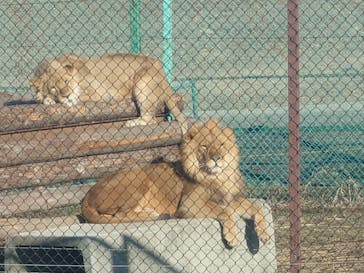 岩手サファリパークに投稿された画像（2024/1/8）