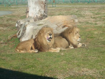 岩手サファリパークに投稿された画像（2024/1/8）