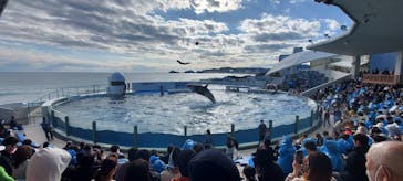 鴨川シーワールドに投稿された画像（2024/1/8）