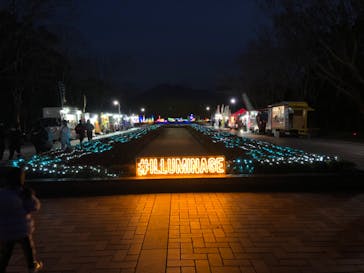 鹿児島イルミナージュに投稿された画像（2024/1/8）