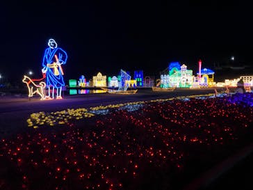 鹿児島イルミナージュに投稿された画像（2024/1/8）