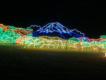 鹿児島イルミナージュに投稿された画像（2024/1/8）