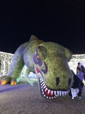 鹿児島イルミナージュに投稿された画像（2024/1/8）