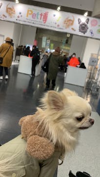Pet博2026 横浜に投稿された画像（2024/1/8）