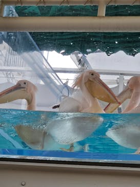 サンシャイン水族館に投稿された画像（2024/1/8）