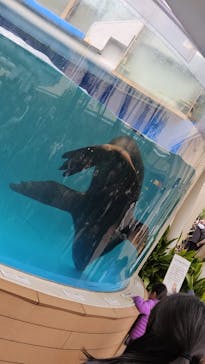 サンシャイン水族館に投稿された画像（2024/1/8）