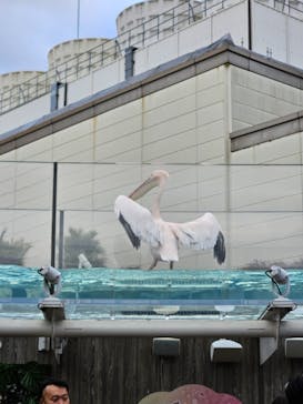 サンシャイン水族館に投稿された画像（2024/1/8）