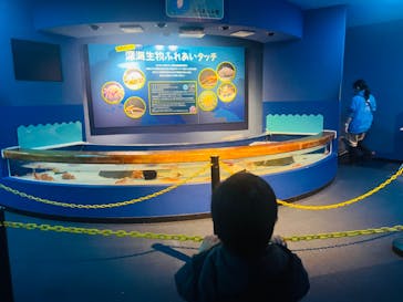 しながわ水族館に投稿された画像（2024/1/8）