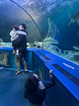 しながわ水族館に投稿された画像（2024/1/8）