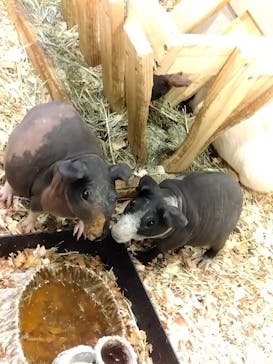 アニタッチみなとみらいに投稿された画像（2024/1/8）