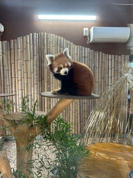 熱川バナナワニ園に投稿された画像（2024/1/8）