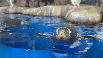 仙台うみの杜水族館に投稿された画像（2024/1/8）