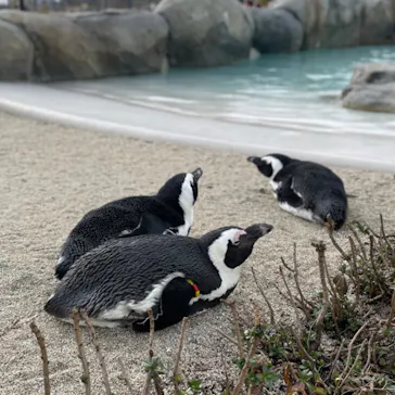 仙台うみの杜水族館に投稿された画像（2024/1/8）