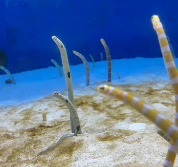 仙台うみの杜水族館に投稿された画像（2024/1/8）