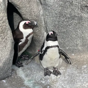 仙台うみの杜水族館に投稿された画像（2024/1/8）