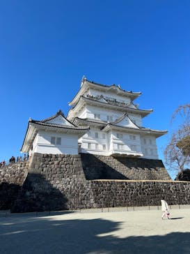 小田原城に投稿された画像（2024/1/8）