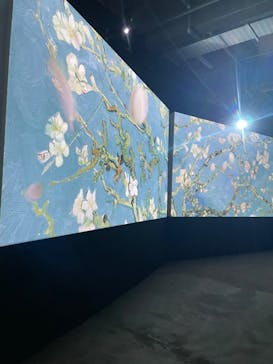 ゴッホ・アライブに投稿された画像（2024/1/9）