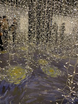 ゴッホ・アライブに投稿された画像（2024/1/9）