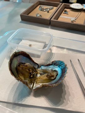 しながわ水族館に投稿された画像（2024/1/9）