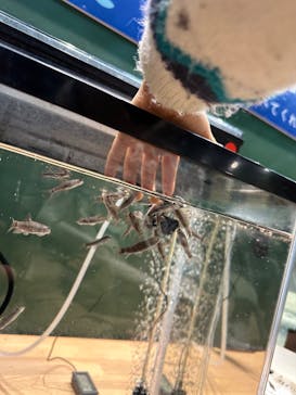 淡路ファームパーク イングランドの丘に投稿された画像（2024/1/9）