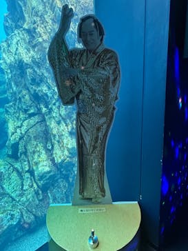 仙台うみの杜水族館に投稿された画像（2024/1/9）