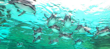 天王寺動物園に投稿された画像（2024/1/9）