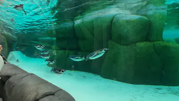 天王寺動物園に投稿された画像（2024/1/9）