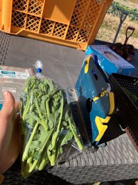 スコップファーム（Scoop Farm）に投稿された画像（2024/1/9）