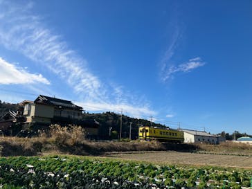 スコップファーム（Scoop Farm）に投稿された画像（2024/1/9）