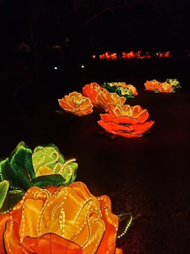 体験王国 むら咲むらに投稿された画像（2024/1/9）