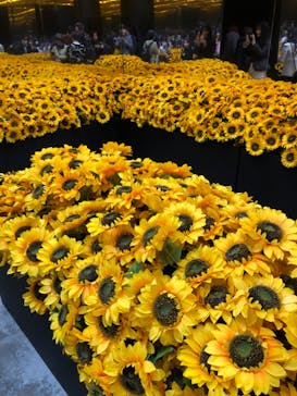 ゴッホ・アライブに投稿された画像（2024/1/9）