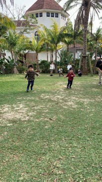 ナゴパイナップルパークに投稿された画像（2024/1/9）