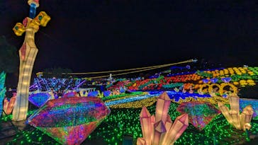 伊豆ぐらんぱる公園に投稿された画像（2024/1/9）