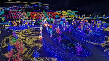 伊豆ぐらんぱる公園に投稿された画像（2024/1/9）