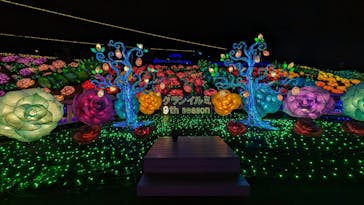 伊豆ぐらんぱる公園に投稿された画像（2024/1/9）