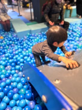 ムーミンバレーパークに投稿された画像（2024/1/9）