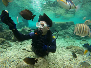 武藤潜水に投稿された画像（2024/1/9）