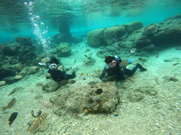 武藤潜水に投稿された画像（2024/1/9）