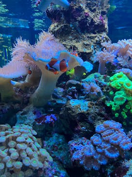 鴨川シーワールドに投稿された画像（2024/1/9）