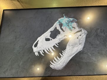 福井県立恐竜博物館に投稿された画像（2024/1/9）