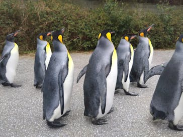 島根県立 しまね海洋館に投稿された画像（2024/1/9）