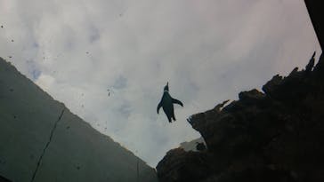 アソビュー！ポイントに投稿された画像（2024/1/9）