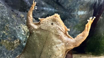 登別マリンパークニクスに投稿された画像（2024/1/9）