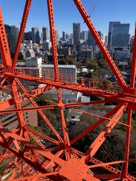 東京タワーに投稿された画像（2024/1/9）