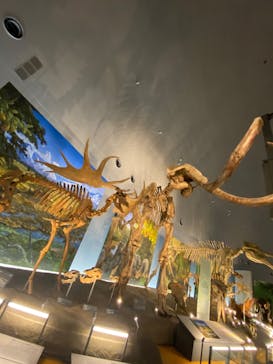 福井県立恐竜博物館に投稿された画像（2024/1/9）