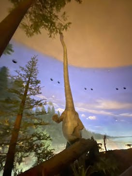 福井県立恐竜博物館に投稿された画像（2024/1/9）