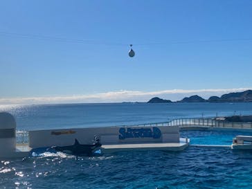 鴨川シーワールドに投稿された画像（2024/1/9）