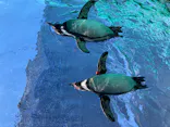 天王寺動物園に投稿された画像（2024/1/9）
