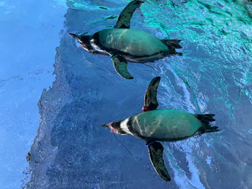 天王寺動物園に投稿された画像（2024/1/9）