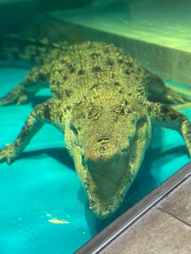 NIFREL（ニフレル）に投稿された画像（2024/1/9）